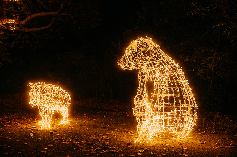 Story of Lights Szolnok 4