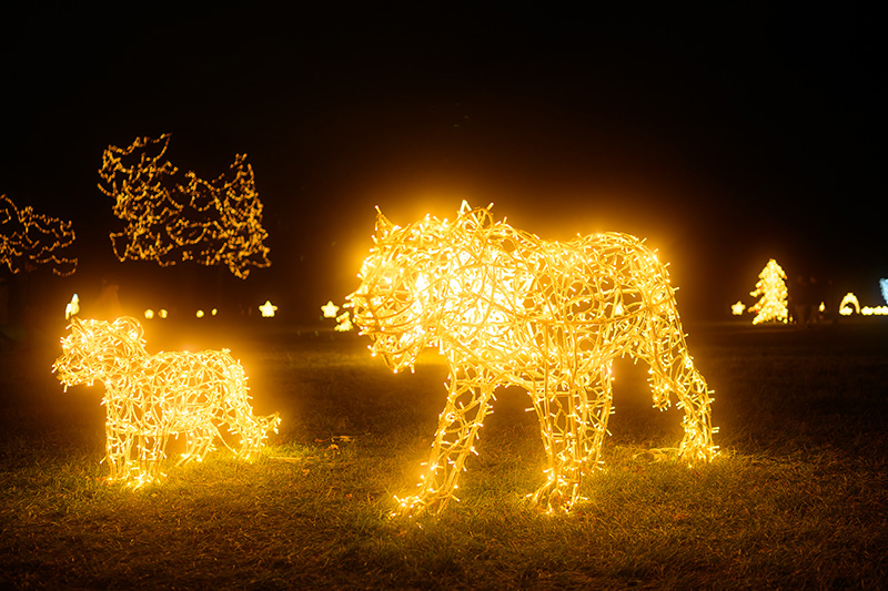 Story of Lights Szolnok 5